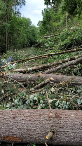 Straight-line winds blamed for storm damage - Times Observer